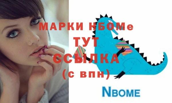2c-b Ельня