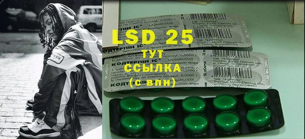 2c-b Ельня
