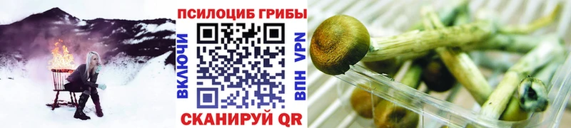 Купить закладки  Бокситогорск  Галлюциногенные грибы Cubensis 